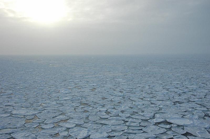 2007-09-09_035 sea ice.JPG